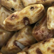 Cuentas vidrio checas Carrier Bead Groove 2 agujeros 9x17 mm Opaque Dark Travertin|raw }}