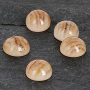 Cabuchón de resina gemas de imitación 6 mm Quartz Rutile x1