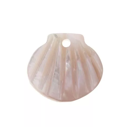 Dije de Nácar forma de concha 11x10 mm - Rosa claro x1