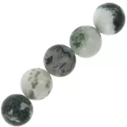 Cuentas redondas de  Piedras Preciosas Gemas  10 mm Tree Agate x5