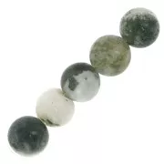 Cuentas redondas de  Piedras Preciosas Gemas  8 mm Tree Agate x10