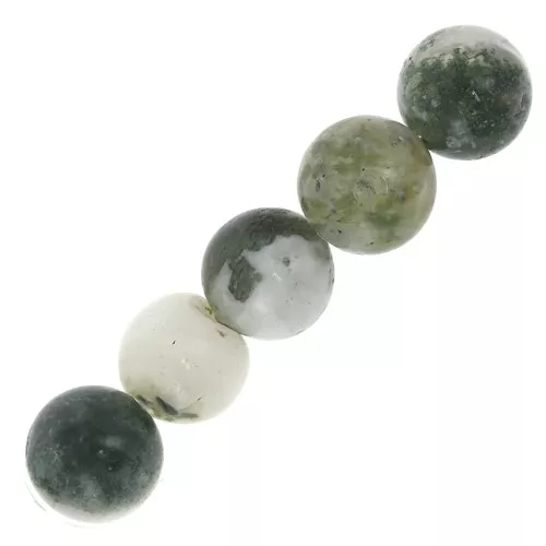 Cuentas redondas de Piedras Preciosas Gemas 8 mm Tree Agate x10