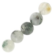 Cuentas redondas de  Piedras Preciosas Gemas  6 mm Tree Agate x15