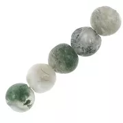 Cuentas redondas de  Piedras Preciosas Gemas 4 mm Tree Agate x20