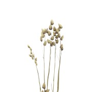 Briza Maximaseca para tus creaciones DIY x5 varillas