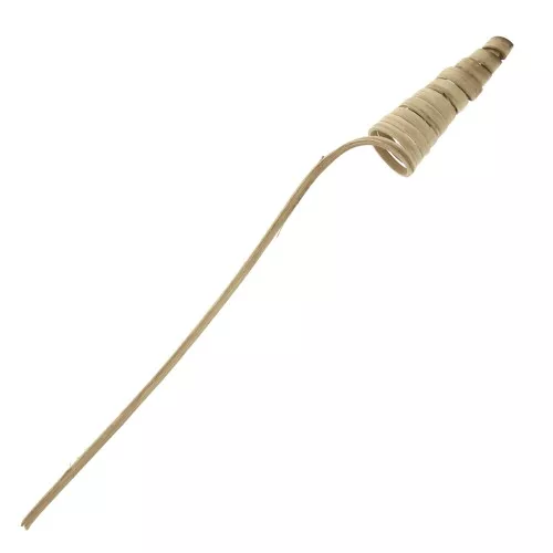 Cane Cone natural -  flor seca para tus creaciones DIY x1 varilla