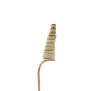 Cane Cone natural -  flor seca para tus creaciones DIY x1 varilla