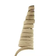 Cane Cone natural - flor seca para tus creaciones DIY x1 varilla