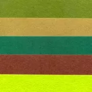 Set de rectángulos de fieltro 3 mm 21x15 cm Verde x5