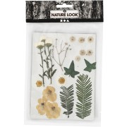 Surtido de flores secas y prensadas para tus creaciones DIY - Blanco x1