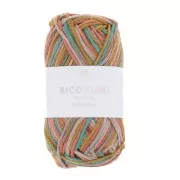 Algodón Ricorumi par Rico Design para Amigurumi Print Multicolore 004 x25g