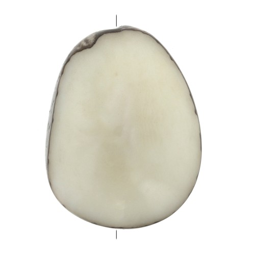 Semilla de Tagua trabajada 35-50 mm Marfil x1