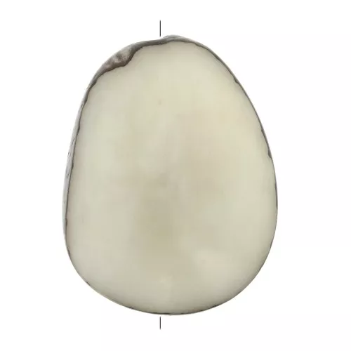 Semilla de Tagua trabajada 35-50 mm Marfil x1