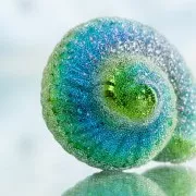 Microbolas sin agujero 50 à 630 µm Preciosa Ornella - Yellow x50g