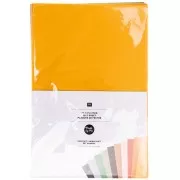 Surtido de placas de fieltro espeso rectángulo 20x30 cm - Thème Animales x10