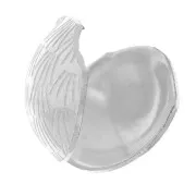 Tapanudos 10 mm plateado  x4