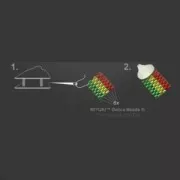 Cierre mosquetón 9 mm para Miyuki 11/0 6 filas de Plata 925 Dorado con oro fino x1