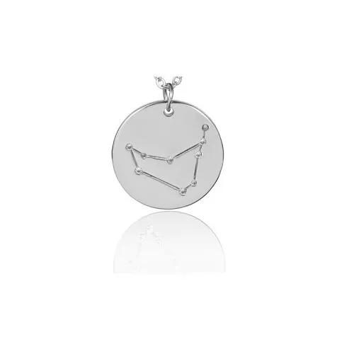Colgante con constelación de estrellas Capricornio 20 mm anilla abierta - Acero Inox x1