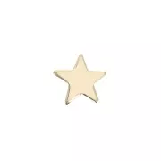 Accesorios forma estrella a pegar 8 mm en Gold filled x1
