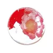 Molde silicona Padico esfera 12 mm para resina x1