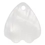 Pétalo de Nácar 15.5x14 mm Natural x1