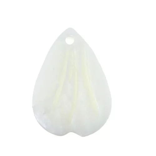 Gota pétalo de Nácar 17.5x13 mm Natural x1
