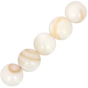 Cuentas redondas de concha de 8 mm - Naturales x10