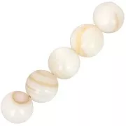 Cuentas redondas de concha de 8 mm - Naturales x10