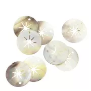 Colgante redondo de Nácar - estrella del norte calado - 19 mm - Natural x1