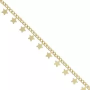 Cadena eslabón con pequeñitas estrellas 5.4 mm - Dorado Satinado x50cm