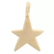 Mini dije estrella 8x5 mm - Dorado con oro fino x1