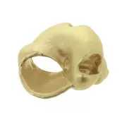 Colgante concha 14x12 mm - Dorado satinado x1