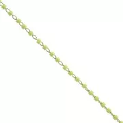 Cadena adornadacon cuentas Miyuki Delica 11/0 1.70 mm - Dorado - Verde Claro x1 m