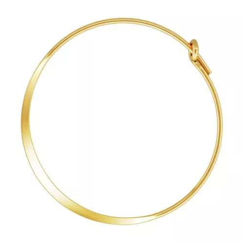 Aros pendientes forma redondas a decorar 25 mm de Gold filled x2