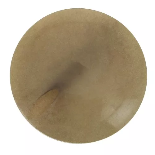 Cuenta de Tagua redonda aplanada 20 mm - Marrón Claro x1