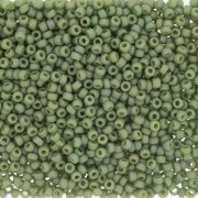 Rocalla Miyuki 11/0 4698 - Opaque Glazed Pistachio Mat AB x8g