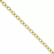 Cadena malla Forçat 3.1 mm de Acero inoxidable  Dorado 316L x50cm