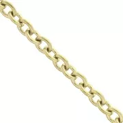 Cadena malla Forçat 3.1 mm de Acero inoxidable  Dorado 316L x50cm
