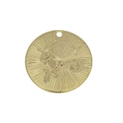 Dije redondo a rayas - Signo del Zodiaco Capricornio 15 mm  Dorado al oro fino x1|raw }}