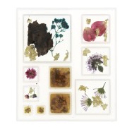 Molde silicona para hacer 10 cuadrados de resina x1