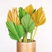 Hoja de palmera seca Verdee para creación DIY x1tallo