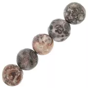 Cuentas redondas de piedra gema 8 mm - Jaspe Leopard x10