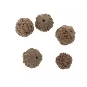 Cuentas Rudraksha naturales lágrimas de Shiva 8 mm x20