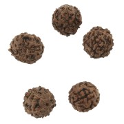 Cuentas Rudraksha naturales lágrimas de Shiva 12 mm x10