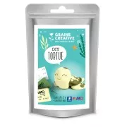 Kit modelage en pâte Fimo - Mini figurita Tortuga x1