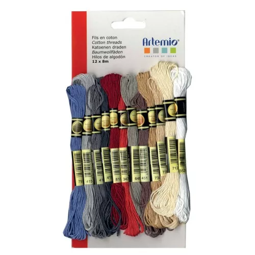 Surtido12 échevettes para pulsera brasileña & broderie - Charme x1