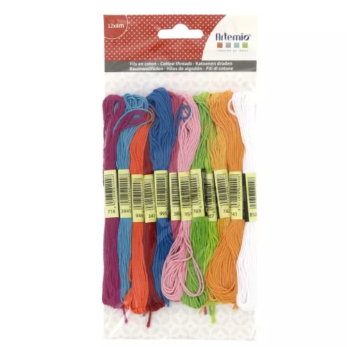 Surtido12 échevettes para pulsera brasileña & broderie - Fun x1