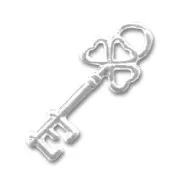 Dije Llave 20 mm plateado x1