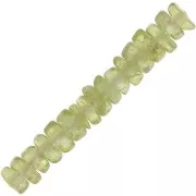 Cuentas arandalas Heishi 4x2 mm - Peridoto x20