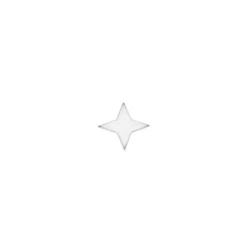 Estrella para pegar - exclusividad Perles & Co 4.3 mm Plateadox4